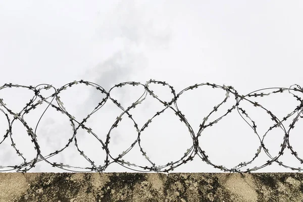 Συρματόπλεγμα σε τσιμεντένιο φράχτη — Φωτογραφία Αρχείου