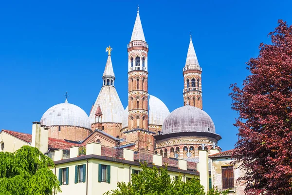 View of the Basilica of Santa Giustina of Padua, Italy — Stock Photo, Image