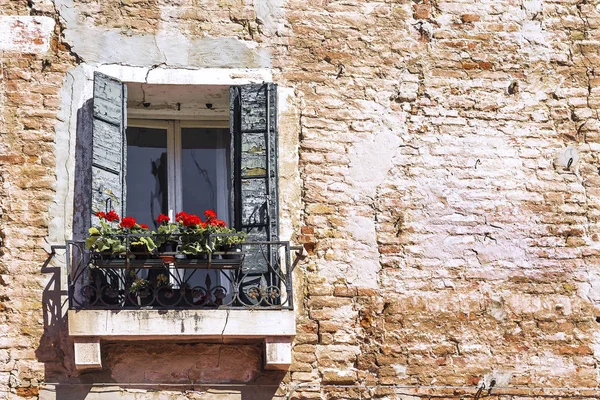 Uma janela com um gerânio em uma fachada de tijolo — Fotografia de Stock