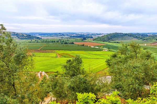 Panoramautsikt över fälten jordbruket i Portugal — Stockfoto