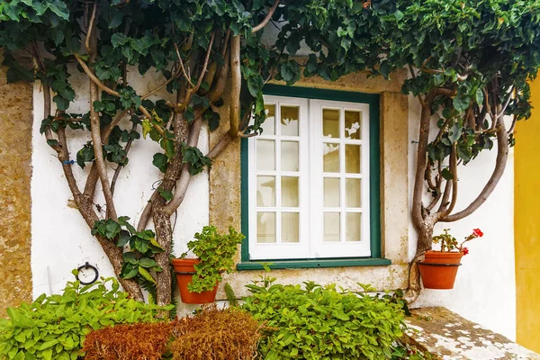 Una finestra in una casa di pietra di vegetazione — Foto Stock