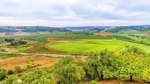 Panoramautsikt över fälten jordbruket i Portugal — Stockfoto