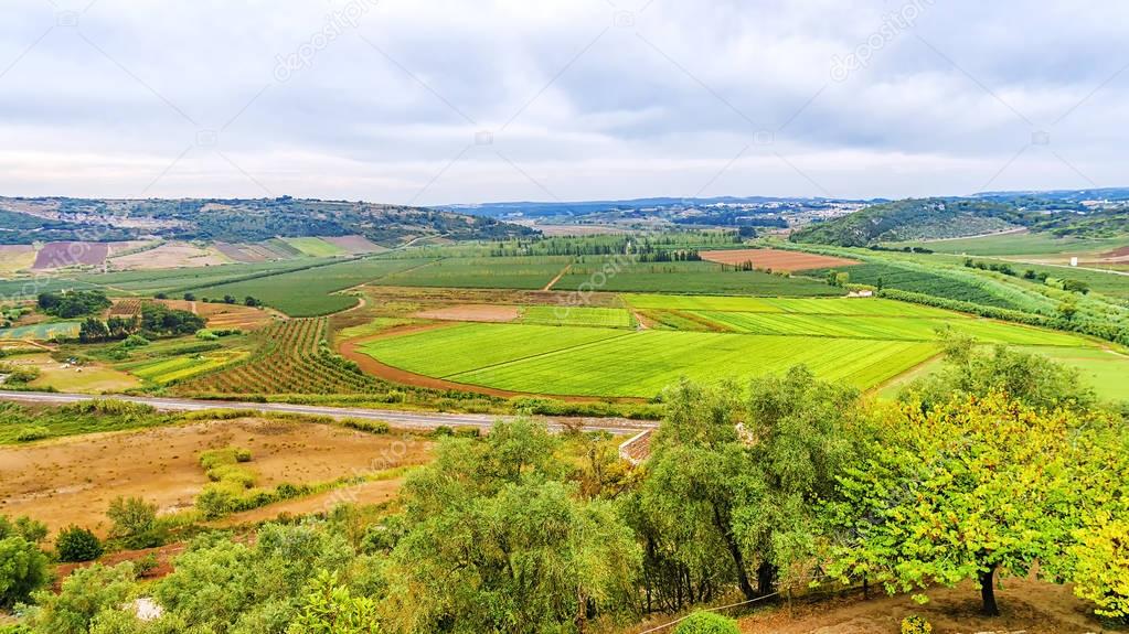 Panoramic view of the agricultural fields in Portugal