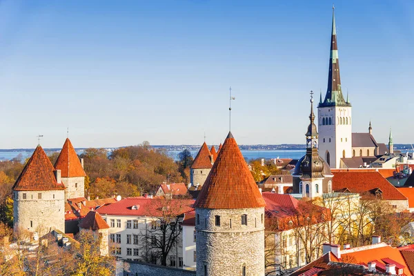 Панорама осени Таллинн, Эстония — стоковое фото