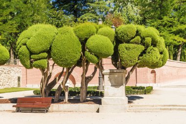 Park retiro Madrid, İspanya.