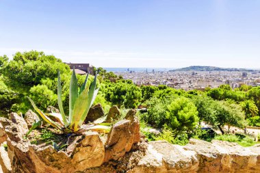 Barcelona 'daki Park Guell. İspanya