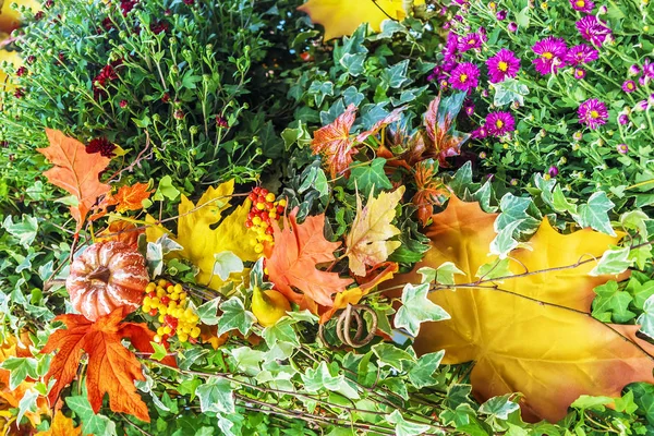 Colorful floristic autumn composition — Stock Photo, Image