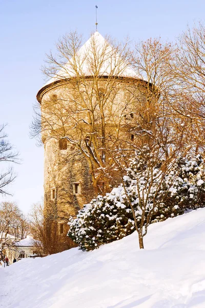 Torre de invierno en Tallin, Estonia — Foto de Stock