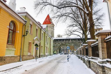 Kış sokaklarında eski Tallinn, Estonya