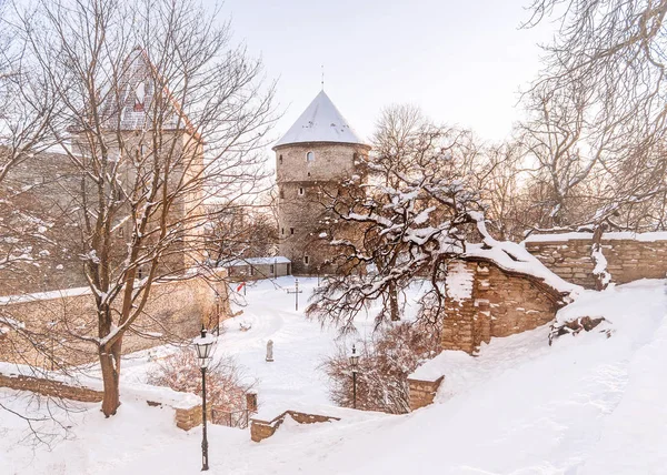 Mañana helada de invierno en Tallin — Foto de Stock