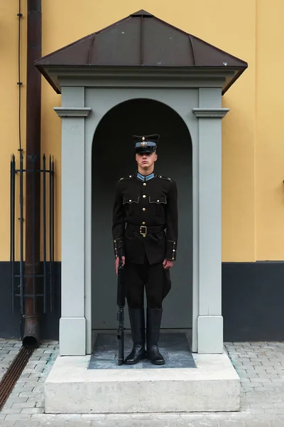 RIGA, LATVIA-JULY 11, 2017: Soldier at the post of the president — Stock Photo, Image