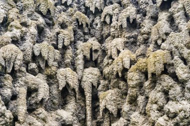 Damlataş duvar Prag, Çek Cumhuriyeti