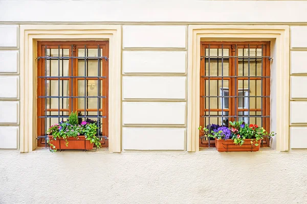 Blumen auf der Fensterbank des Hauses — Stockfoto