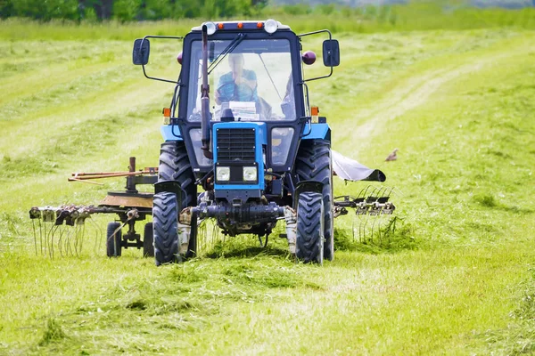 The tractor in the field with turns the hay on drying — Stock Photo, Image