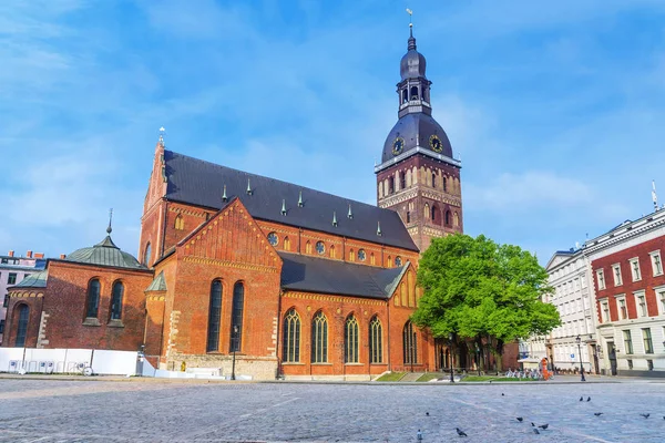 Домский собор в Риге, Латвия — стоковое фото