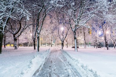 Parktaki karlı kış sokağı