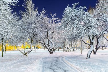 Karlı bir sokakta akşam parkı