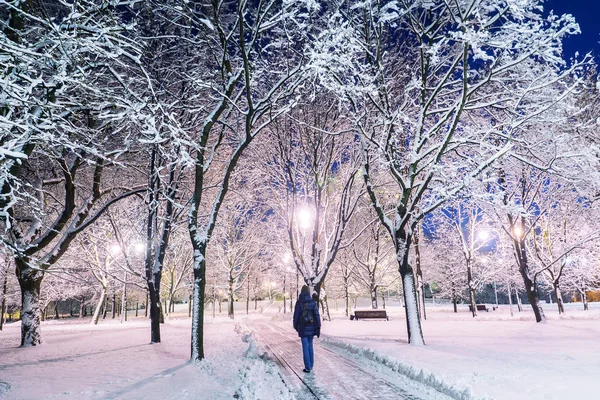 Śnieżna alejka zimowa w parku — Zdjęcie stockowe