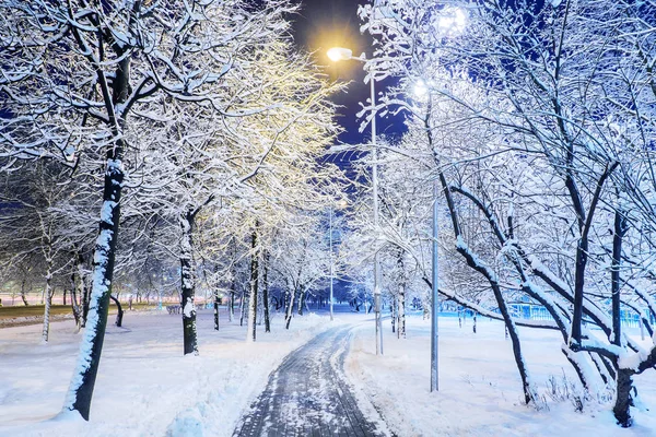 Alley evening park in a snowy — Stock Photo, Image