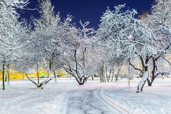Steeg avond park in een besneeuwde — Stockfoto