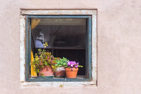 Старое открытое окно с цветами — стоковое фото