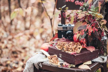 Sonbahar arka planına karşı elmalı turta