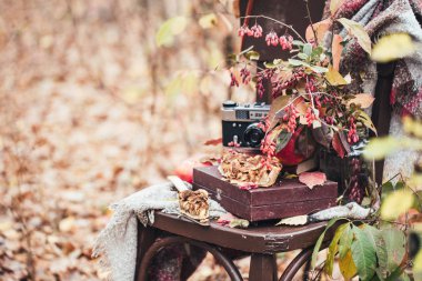 Sonbahar arka planına karşı elmalı turta