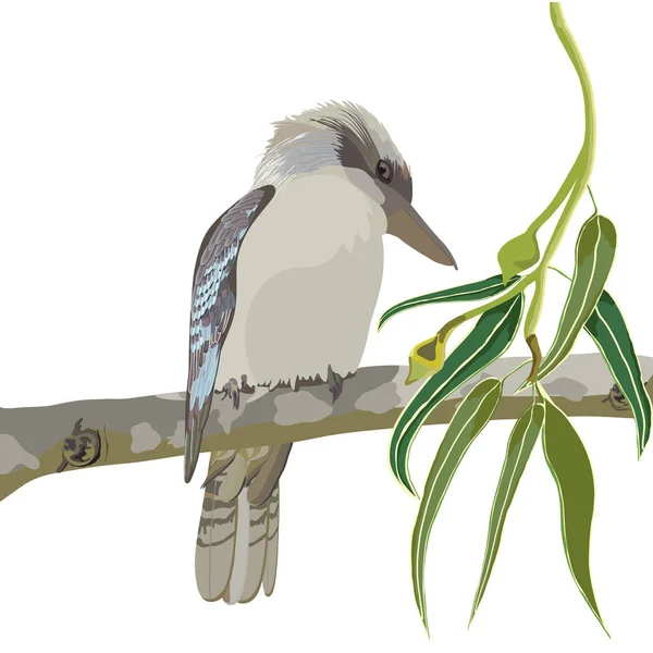 Kookaburra sentado en un árbol Vector Ilustración — Archivo Imágenes Vectoriales