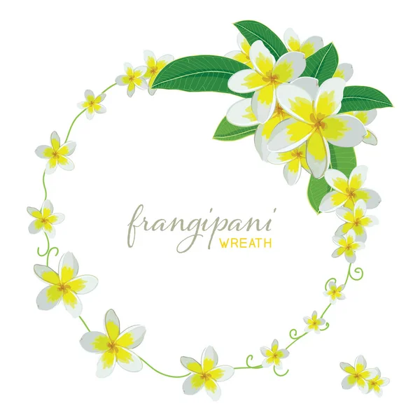  Frangipani çelenk vektör çizim