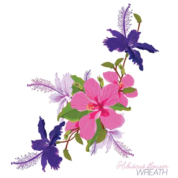 トロピカル ピンクと紫のハイビスカス花輪ベクトル — ストックベクタ