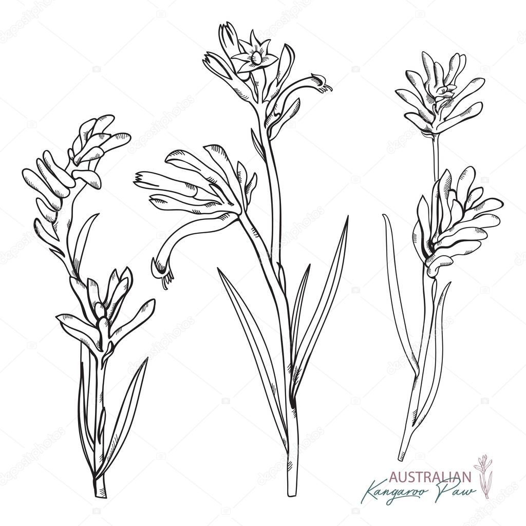 Free Free 96 Native Flower Svg SVG PNG EPS DXF File