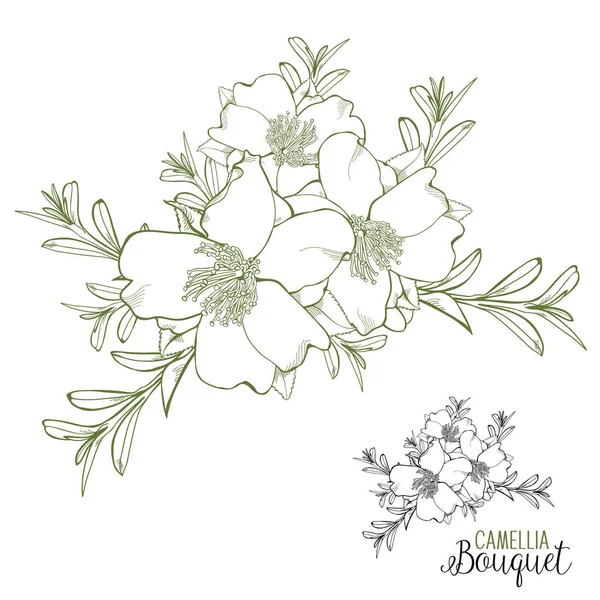 Kamelya çizilmiş buket vektör