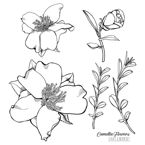 Çiçek çizilmiş vektör öğe kümesi