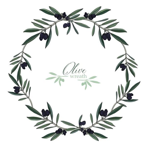 Kabataslak gerçekçi zeytin çelenk vektör çizim