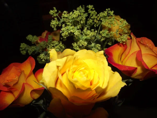 Buquê de flores de rosas — Fotografia de Stock
