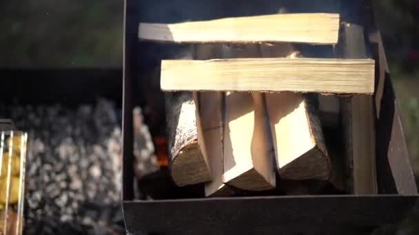 Berkenhout Ligt Grill Roken Het Maken Van Een Vuur Barbecue — Stockvideo