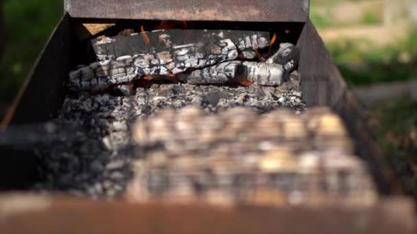 Fokus Steht Der Grill Mit Brennendem Holz Der Fokus Liegt — Stockvideo