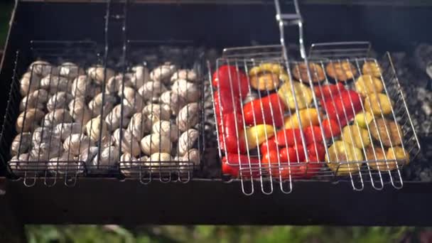 烤架上有蘑菇 茄子和胡椒粉 夏天野餐 — 图库视频影像