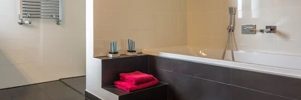 従来の浴室インテリア — ストック写真
