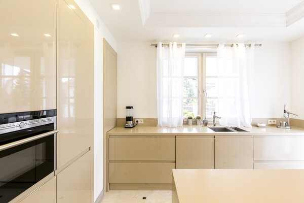 Beige stylish kitchen