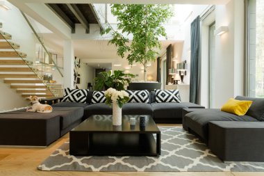 Modern ev alanı relax için