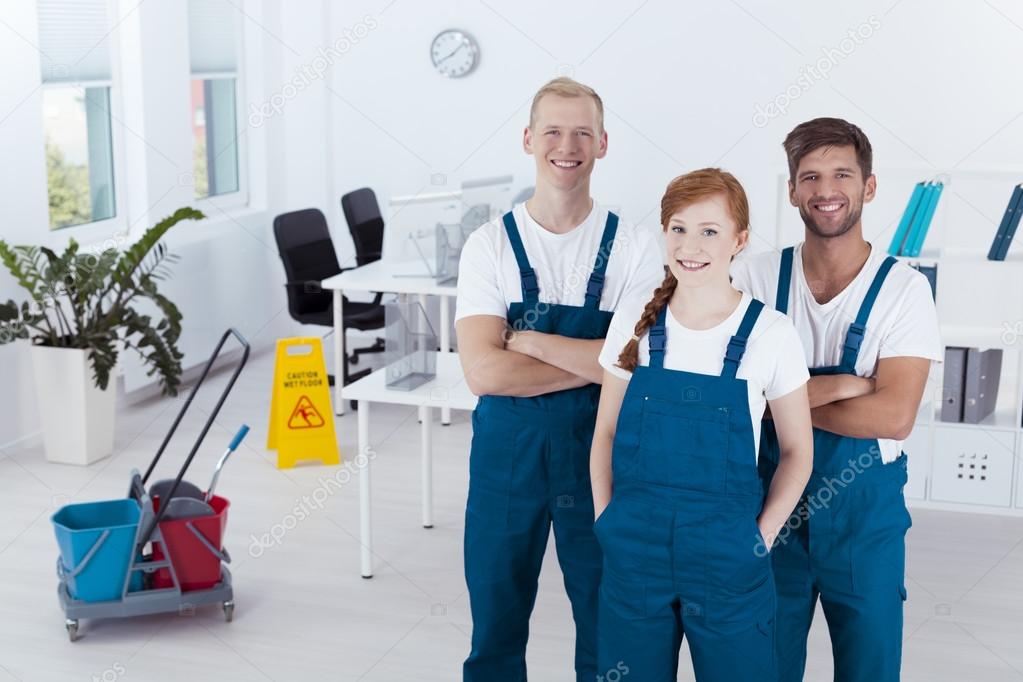 Group of professional cleaners