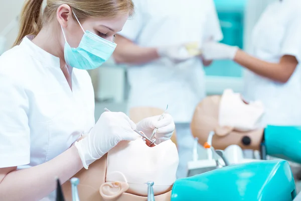 Dental procedure on dummy — Stockfoto