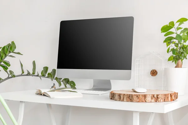 Minimalistic desk with plants — Stock Photo, Image