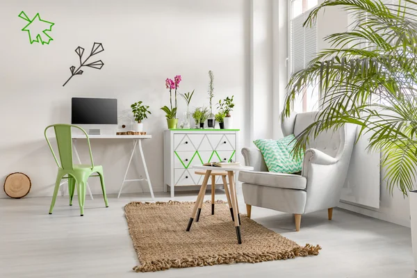 Белая комната с растениями — стоковое фото