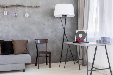 Şık bir şekilde dekore edilmiş salon fikir