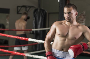 Yakışıklı boksör wating mücadele için