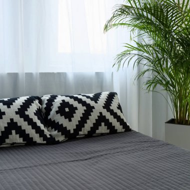 Yatak ve bir yatak odasında bir bitki