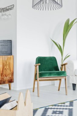 Yeşil koltukta beyaz Oda