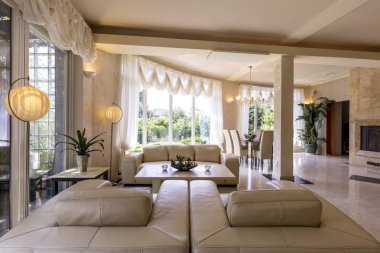 Deri koltuklar ile aydınlık oturma odası